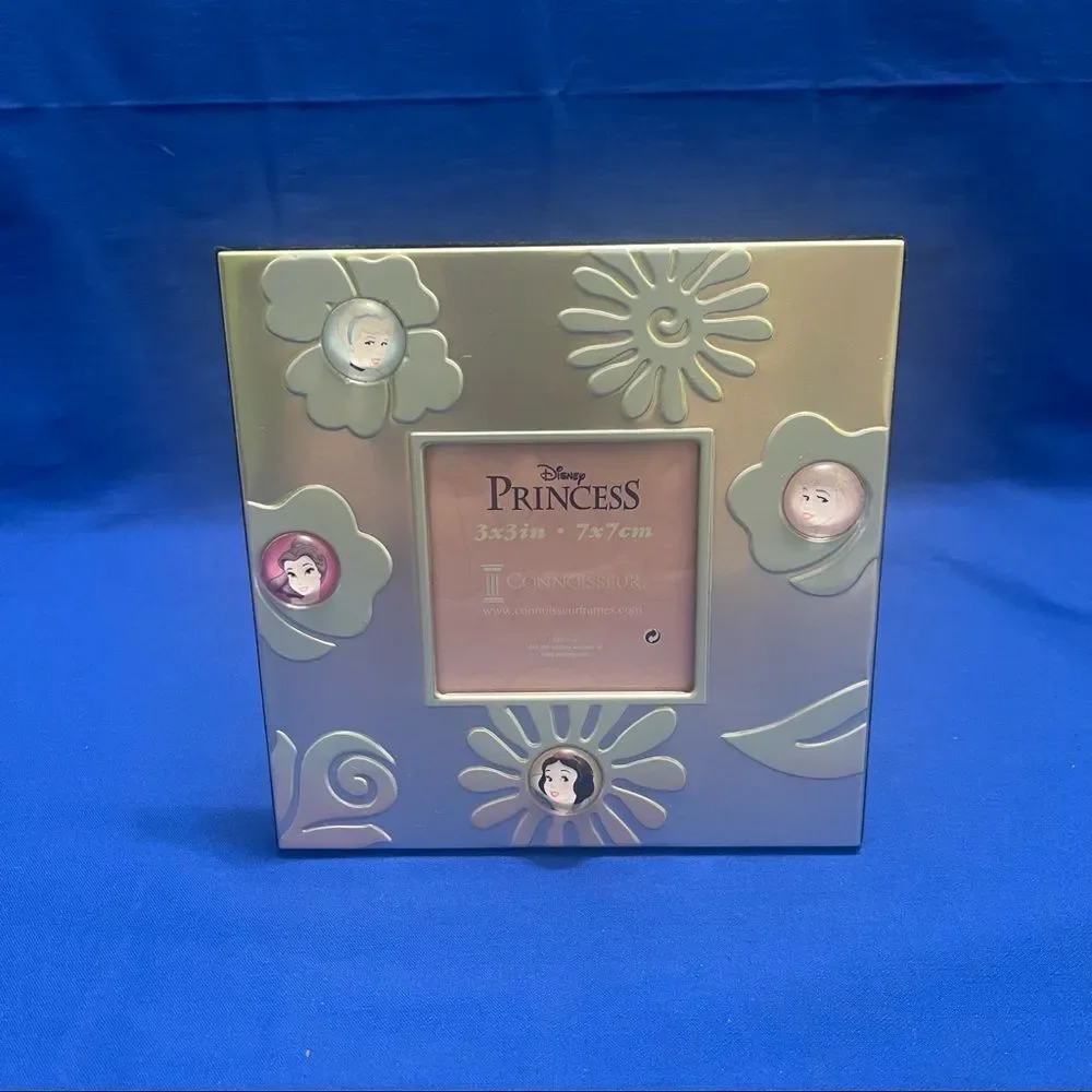 Disney Princess photo frame